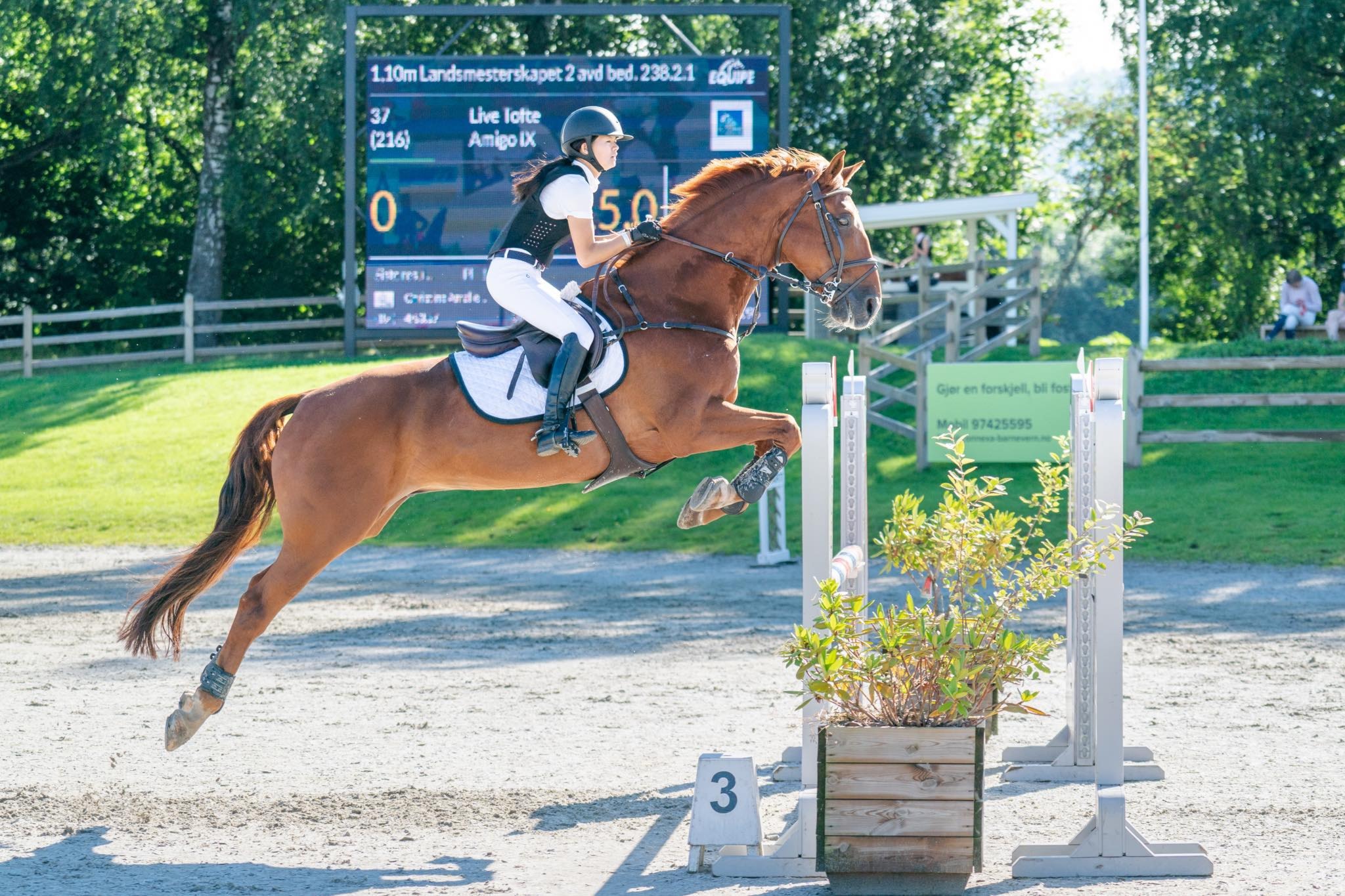 Landsmesterskap Drammen og Omegn Rideklubb 29.07-02.08.2020